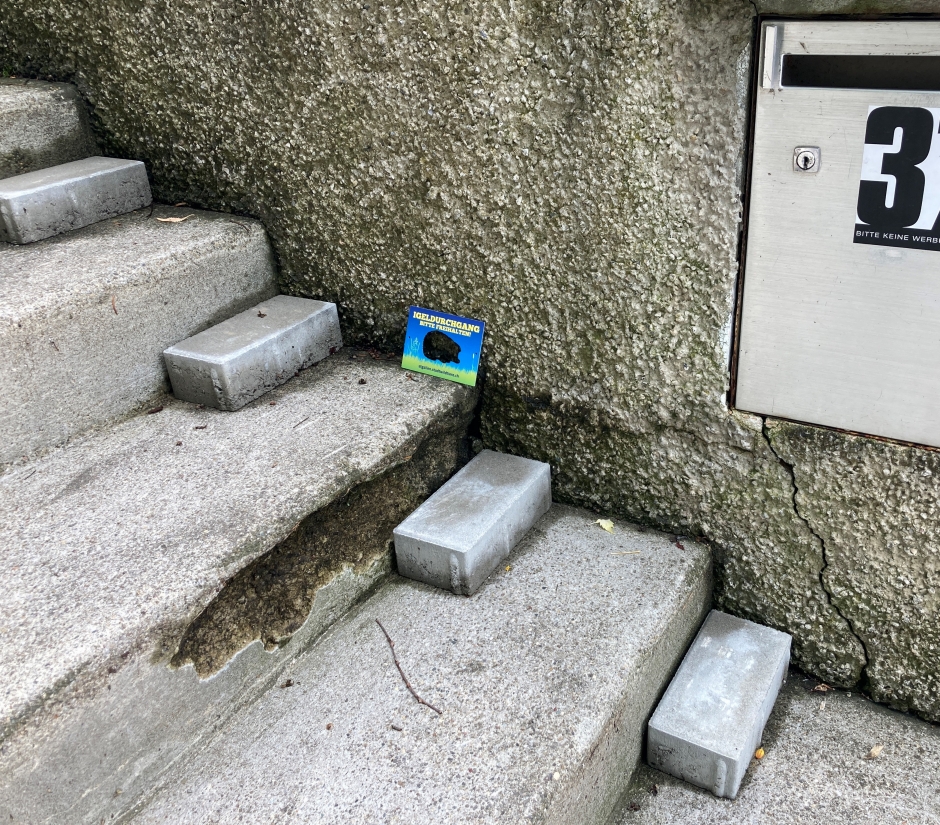 Eine Aufstieghilfe erleichtert Igeln das Treppensteigen.